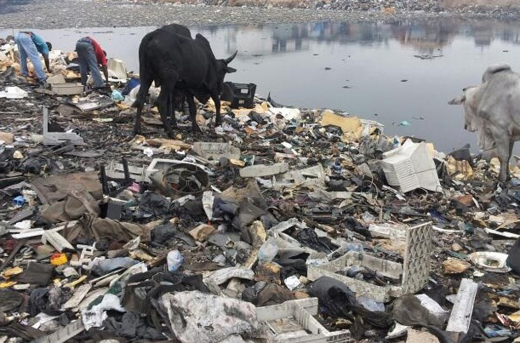 الصعوبات التي تعترض معالجة ومراقبة النفايات البلاستيكية فتحت أمام المجرمين باب انتهاز الفرص في هذا القطاع.